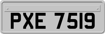 PXE7519