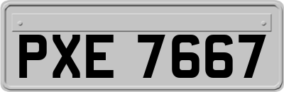 PXE7667