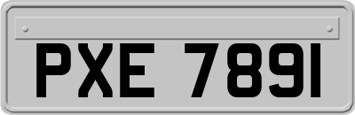 PXE7891