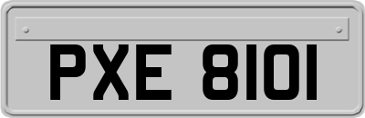 PXE8101