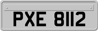 PXE8112