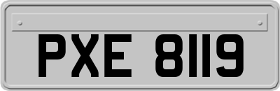 PXE8119