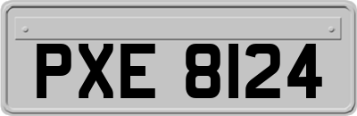 PXE8124
