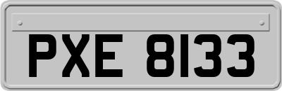 PXE8133