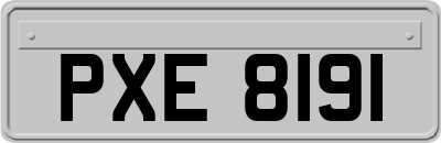 PXE8191