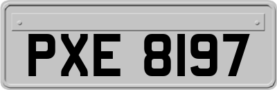 PXE8197