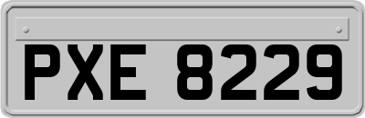 PXE8229