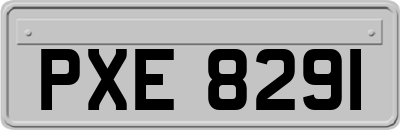 PXE8291