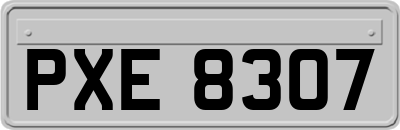 PXE8307