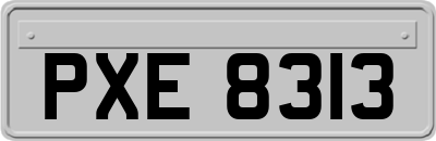 PXE8313