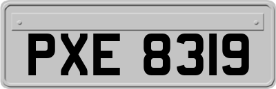 PXE8319