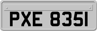 PXE8351