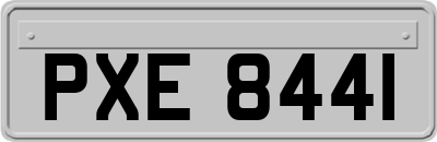 PXE8441