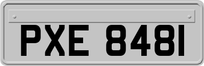 PXE8481