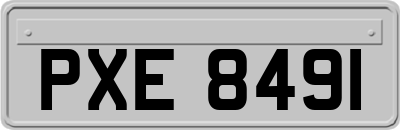 PXE8491