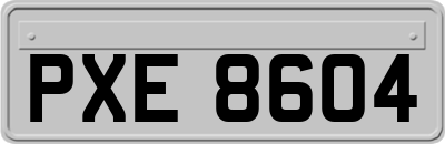 PXE8604