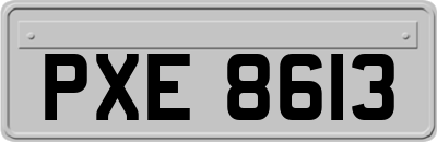 PXE8613