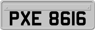 PXE8616