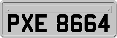 PXE8664