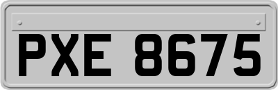 PXE8675