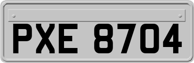 PXE8704