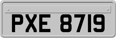 PXE8719