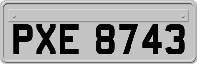 PXE8743