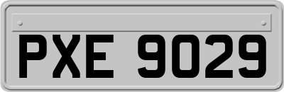 PXE9029