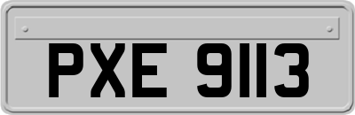 PXE9113