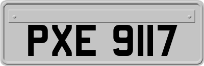 PXE9117