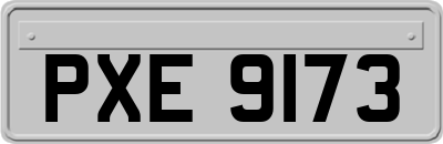 PXE9173