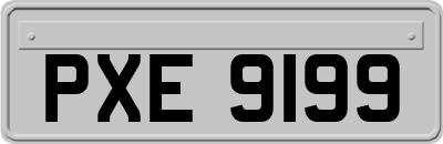 PXE9199