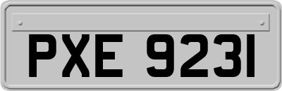 PXE9231