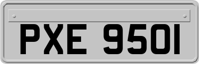 PXE9501