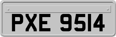 PXE9514