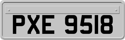 PXE9518