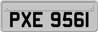 PXE9561