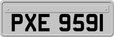 PXE9591