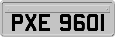 PXE9601