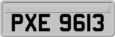 PXE9613