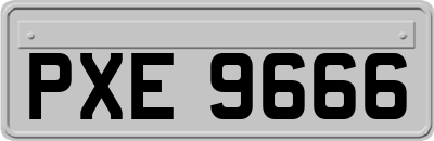 PXE9666