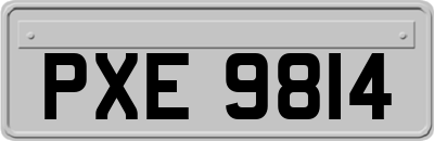 PXE9814