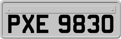 PXE9830