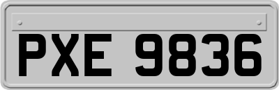 PXE9836