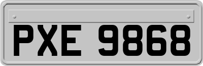 PXE9868