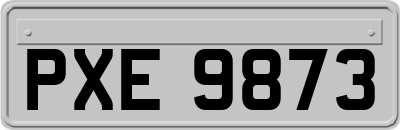 PXE9873