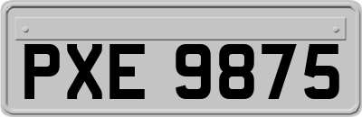 PXE9875