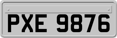 PXE9876