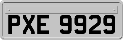 PXE9929