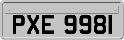 PXE9981